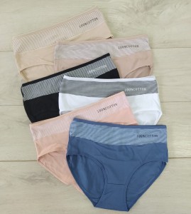 ANN  majtki bawełniane z wyższym stanem 